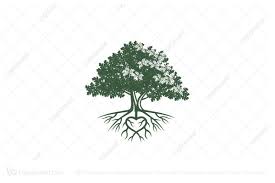 Heart Root Oak Tree Logo Tree Logos Oak Tree Drawings Tree Icon