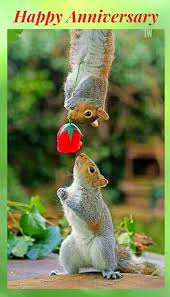 Pin By Rose Lopez On Happy Birthday And Sayings Baby Animal Drawings Funny Animal Pictures Funny Animals