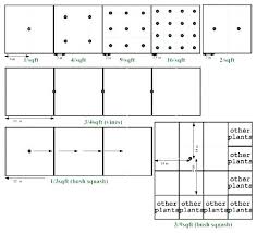 Vegetable Plant Spacing Filmwilm Com