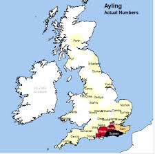 What is more, two adjectives (e.g. A Year In Surnames Week 2 Surname Beginning With A Ayling Ayearinsurnames Julie Goucher Anglers Rest