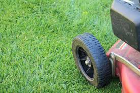 Vertikulieren) wird im gartenbau das anritzen der grasnarbe einer rasenfläche genannt. Rasen Im Fruhjahr Vertikutieren Anleitung Gartenlexikon De