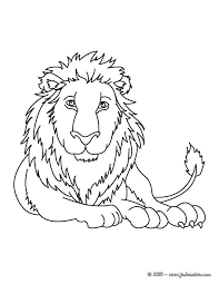 coloriage d un grand lion couche de face avec une belle criniere il lui manque que la couleurs p animal coloring pages african animals heath burns monster high
