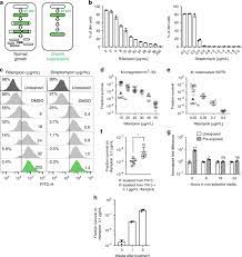 Rifampicin Can Induce Antibiotic Tolerance In Mycobacteria Via Paradoxical Changes In Rpob Transcription Nature Communications