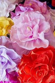 I enjoy photography of flowers, and hope flickr can vastly improve my not so brilliant photography. Artificial Flowers And Trees Retailers