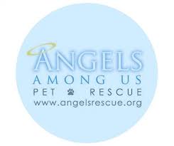 We did not find results for: Pets For Adoption At Angels Among Us Pet Rescue Inc In Alpharetta Ga Petfinder