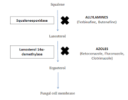 Topical Antifungals Used For Treatment Of Seborrheic Dermatitis Medcrave Online