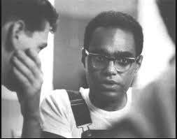 Turtle Learning: FEBRUARY IS AFRICAN AMERICAN HISTORY MONTH -- ROBERT PARRIS  MOSES