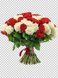 Pin On Flowers