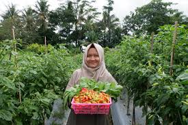 Loker Agrobisnis Pt Biotek Cipta Kreasi Posisi Field Assistant Deadline 28 Desember 2020