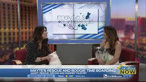 Maybe you would like to learn more about one of these? Mayte S Rescue Boogie Time Boarding Youtube