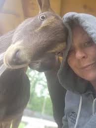 I need verse for my song Title...... Goated