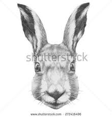 Easy bunny face drawing at getdrawings | free download. Rabbit Face Stock Photos Royalty Free Images Amp Vectors Shutterstock Rabbit Drawing Drawings Face Illustration