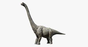 Pin On 3d Animals