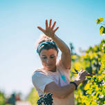 Harvest Fest