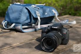 The Best Dslr Cameras For Beginners From Budget To Full Frame Digital Trends Choosing the best camera for beginners can be confusing.