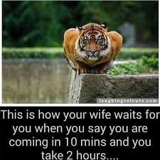 Your Wife When You Come Home Late Memepile Husband Humor Husband Meme Wife Memes