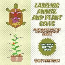Get great deals on thousands of bestselling ebooks. Labeling Animal And Plant Cells An Advanced Anatomy For Kids Workbook Grade 6 Children S Anatomy Books Professor Baby 9781541940390 Amazon Com Books