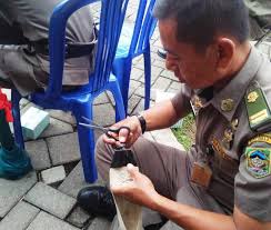 Maybe you would like to learn more about one of these? Tes Cpns Sepatu Dilakban Registrasi Bawa Anak Radar Banyumas