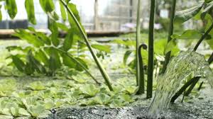 Maybe you would like to learn more about one of these? Botanischer Garten Marburg Home Facebook