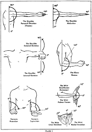 20 Valid Range Of Joint Motion Evaluation Chart