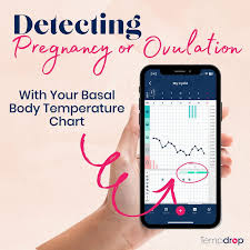 Image result for Basal Body Temperature