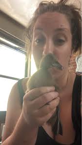 How to stop ducklings from making a mess with water?