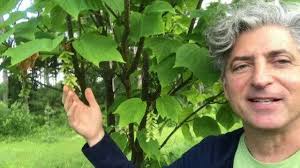 native shrubs and small trees, with marc wolf of mountain top arboretum