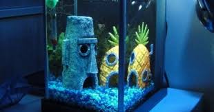 The Best Of Blog 1000notes Com Spongebob Fish Tank Aquarium Ornaments Spongebob