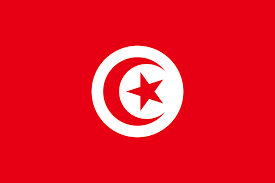 Flag Of Tunisia Gallery Of Sovereign State Flags Wikipedia The Free Encyclopedia Tunisia Flag Tunisian Flag Tunisia