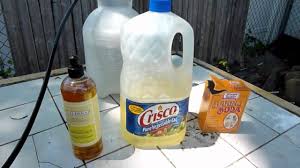 How To Diy Organic Insecticide Fungicide Recipe Just Mix Baking Soda Vegetable Oil Organic Soap Water Organic Fungicide Organic Insecticide Fungicide