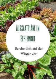 Aussaatplane Im September Bereite Dich Auf Den Winter Vor Haus Und Beet Wintergemuse Anbauen Gartenarbeit Fur Anfanger Pflanzplan