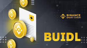 I bought it all around $6,500, i think. Introducing The Buidl Reward Program For Binance Smart Chain Binance Blog