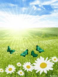 صور متحركة صور متحركة صور ينغ Beautiful Nature Background Nature