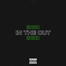 He also talks about his career and how he. Drake In The Cut Ft Roddy Ricch Drizzy
