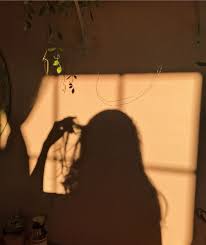 Pinterest R E V A A U D R E Y Gold Aesthetic Shadow Pictures Shadow Photography