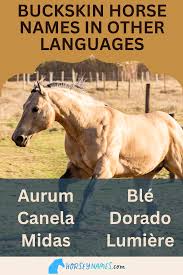 Image result for Light Buckskin 1989 Colt