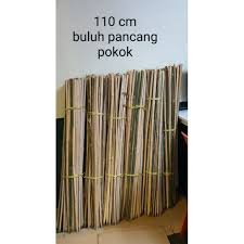 Streets names and panorama views, directions in most of cities. Buy Buluh Untuk Pancang Pokok 25batang Seetracker Malaysia