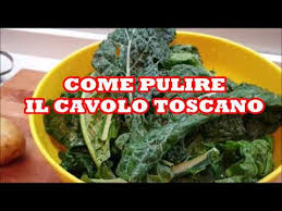 La pulizia di questi ortaggi è davvero semplice! Tutorial Come Ammorbidire Il Cavolo Nero Toscano Con Ricetta Finale Pasticcio In Padella Youtube