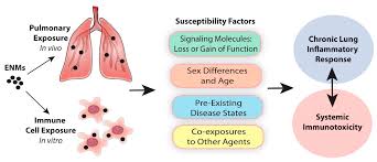 In timpul perioadei febrile se va asigura hidratarea suficienta a bolnavului. Ijms Free Full Text Susceptibility Factors In Chronic Lung Inflammatory Responses To Engineered Nanomaterials Html