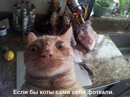 images?q=tbn:ANd9GcSUQoz40TOGbcJmzV_qIgQrmH1Ivqq3_d7sCP3yJam5_lvtN1cu