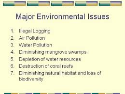 Environmental Issues In The Philippines Authorstream Environmental Issues Environment Water Pollution
