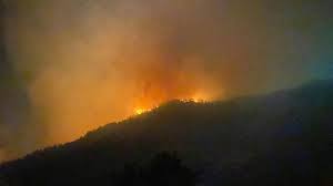 Aug 14, 2015 · türkiye'de geçtiğimiz yıl çıkan 2 bin 149 orman yangınında 3 bin 117 hektar ormanlık alan kül oldu. 44aichkpu4qojm