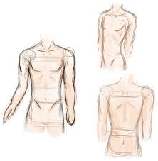 tutorial how to draw bodies for anime. Male Anime Anatomy Practice By Rainbowvoid On Deviantart