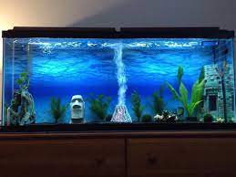 55 Gallon Glass Aquarium Aquariumfurnitureplans Fish Tank Themes Aquarium Fish Tank 10 Gallon Fish Tank