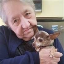 Nancy Ann Plante Obituary (2022)