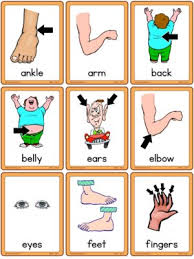 Unscramble the health problems, illnesses, ailments vocabulary and number the pictures. Health Esl Flashcards