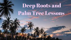 And you shall take on the first day the fruit of splendid trees, branches of palm trees and boughs of leafy trees and willows of the brook, and you shall rejoice before the lord your god seven days. Palm Tree Lessons Healthy Spirituality
