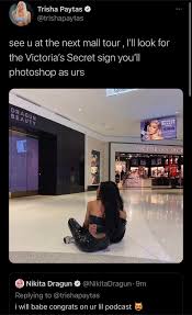 I've seen some of the comments on beauty guru chatter on reddit, and they're pretty dead on. Nikita Woke Up And Chose Violence Unfortunately So Did Trisha R Beautyguruchatter