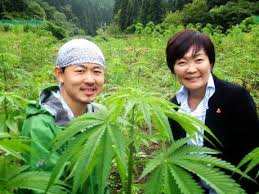 Japan, the place with the strangest drug debate in the world | openDemocracy