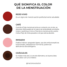 Como Interpretar El Flujo Menstrual Nacion Ovulacion